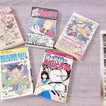 ピラネハウス