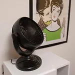 Papa101