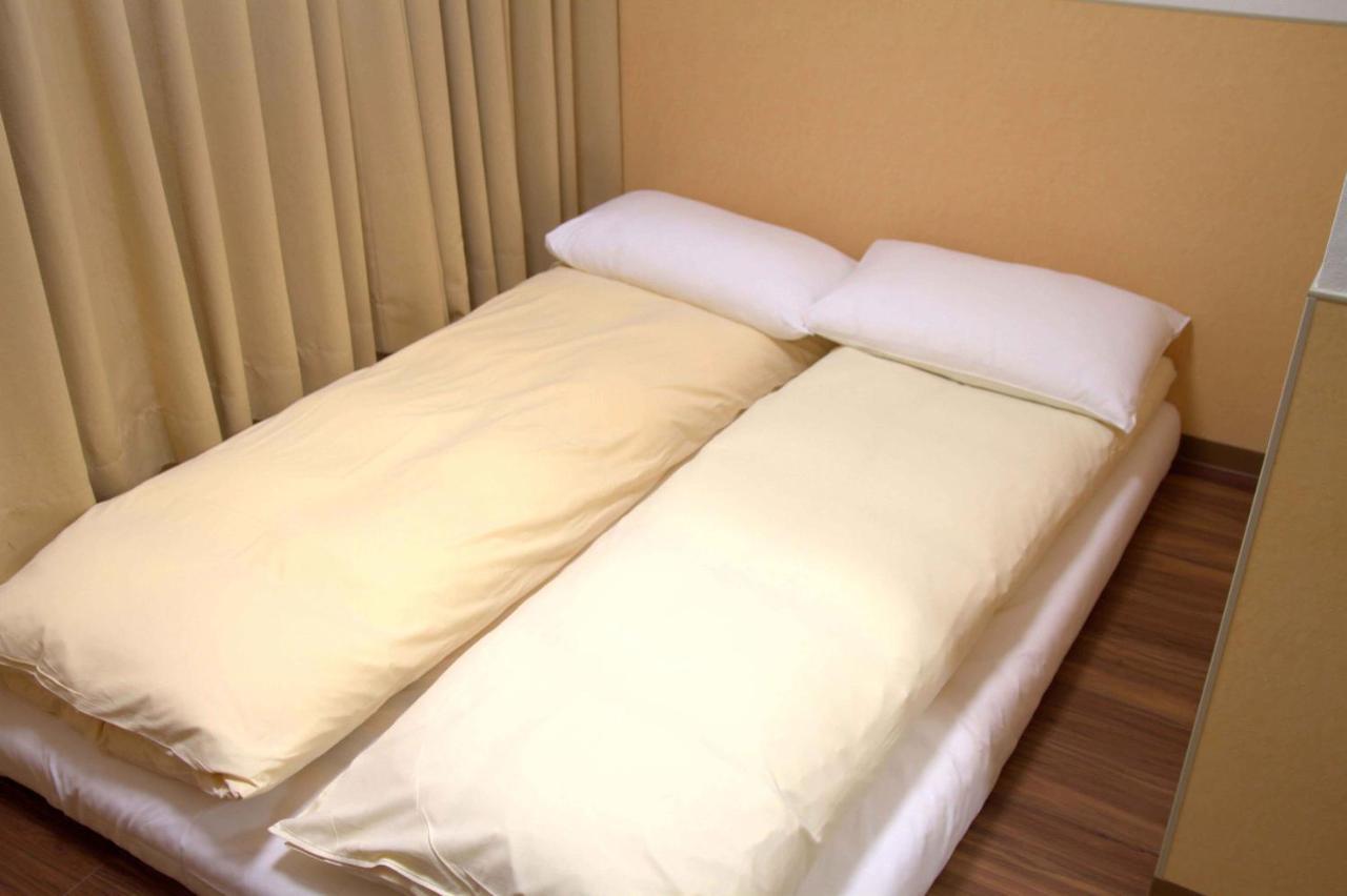 Homestay 上野之家vip家庭房