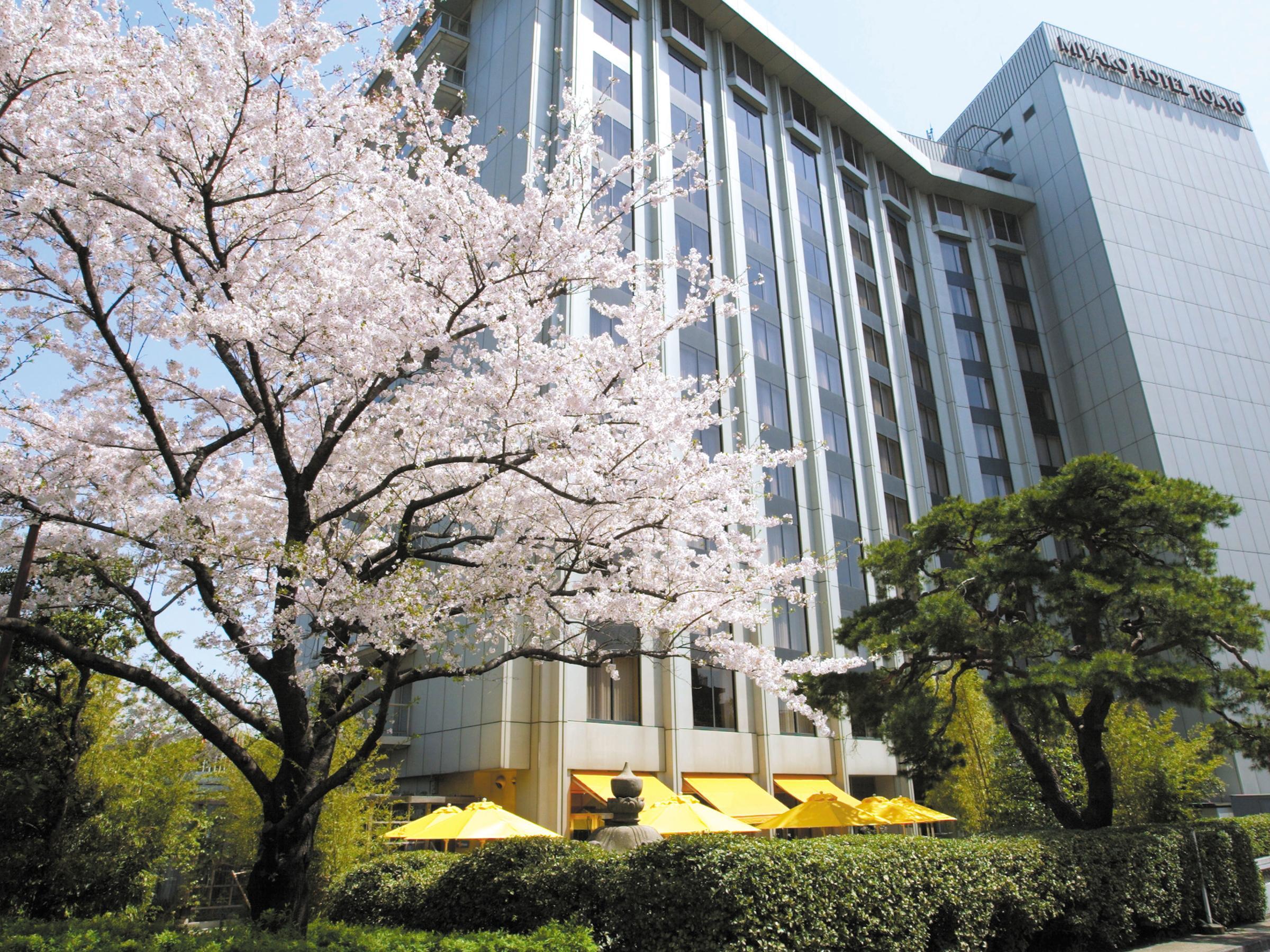 Sheraton Miyako