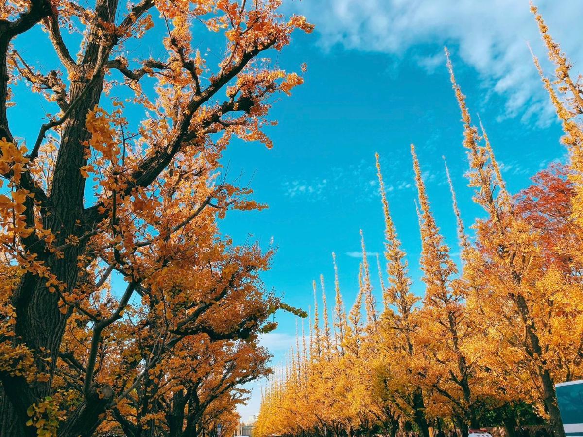 Kan-eijisaka Heim 803 Tokyo