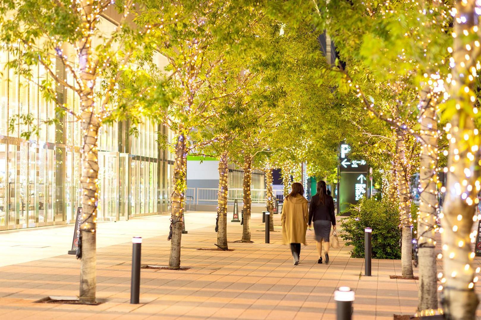 Fontaine Grand Ariake Hotel 4*