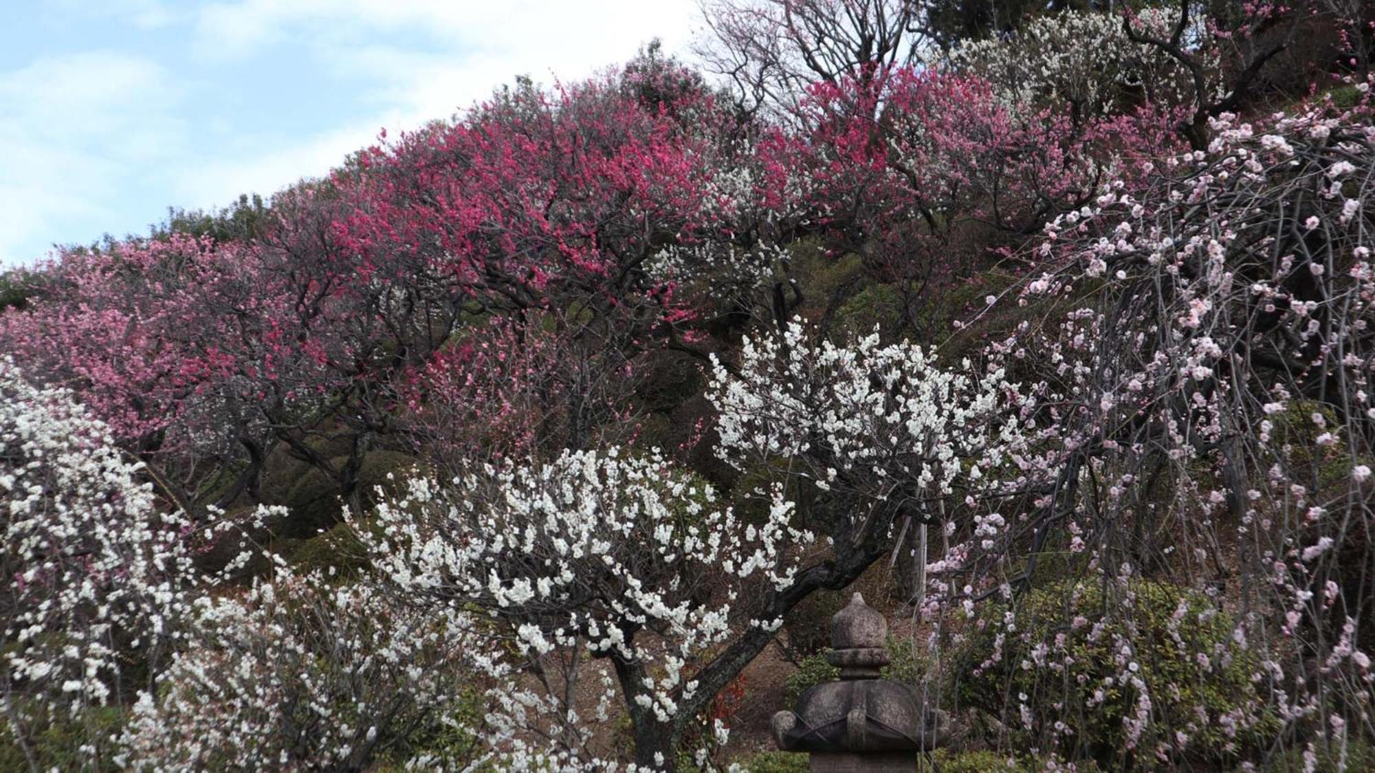 Toyoko Kamata Higashi-guchi 3* Tokyo