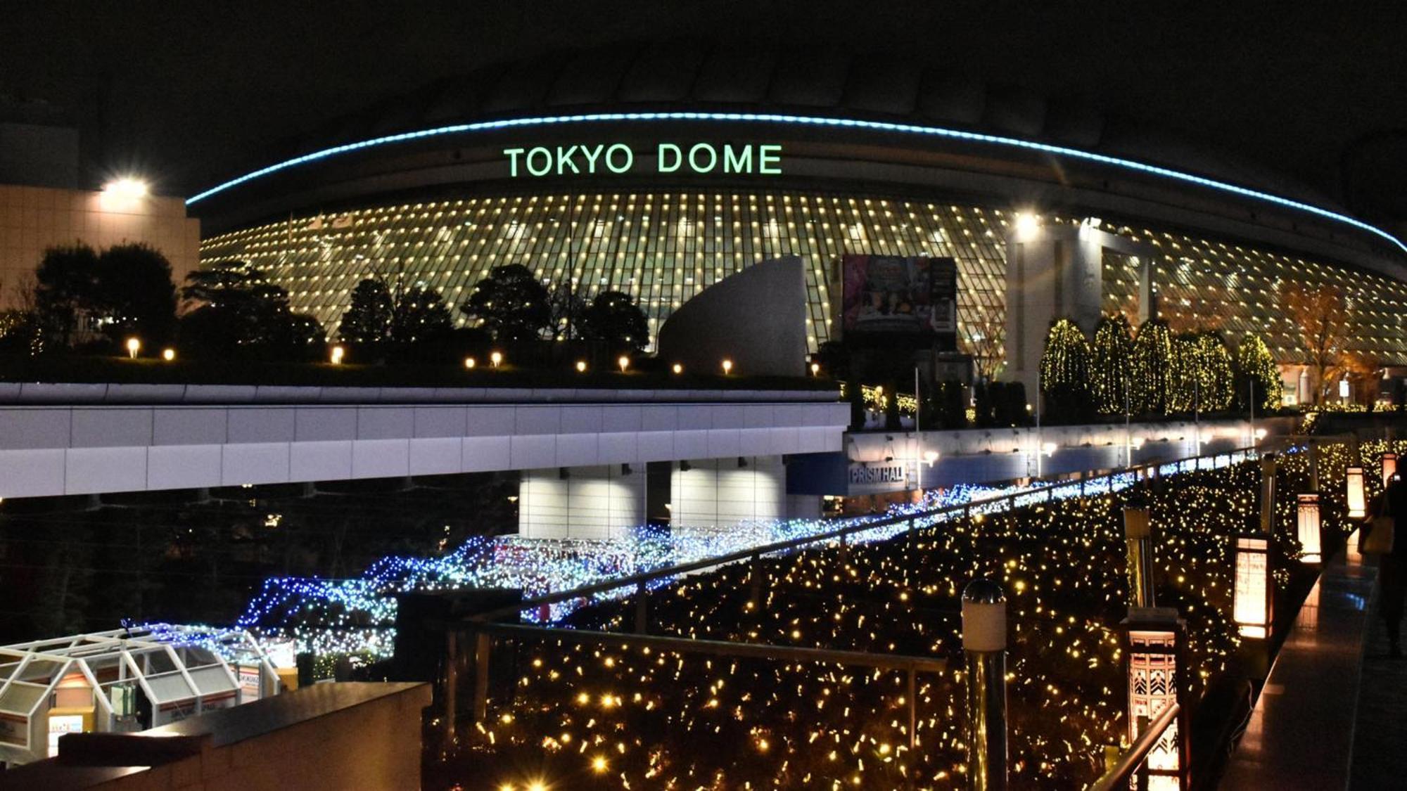 Hotel Toyoko Korakuen Bunkyokuyakusho Mae 3*