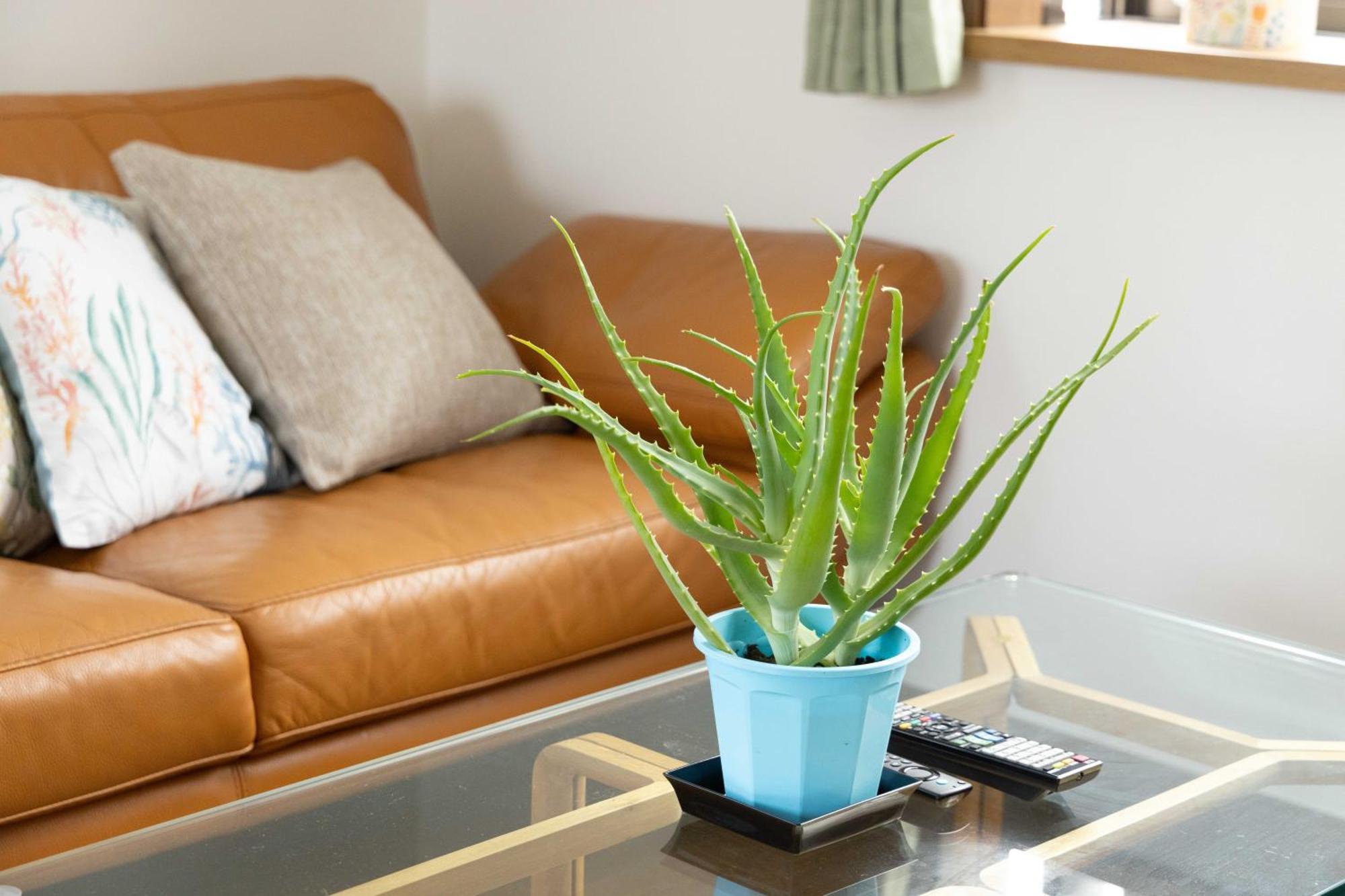 Apartment Buran House 新大久保駅から徒歩3分 Tokyo