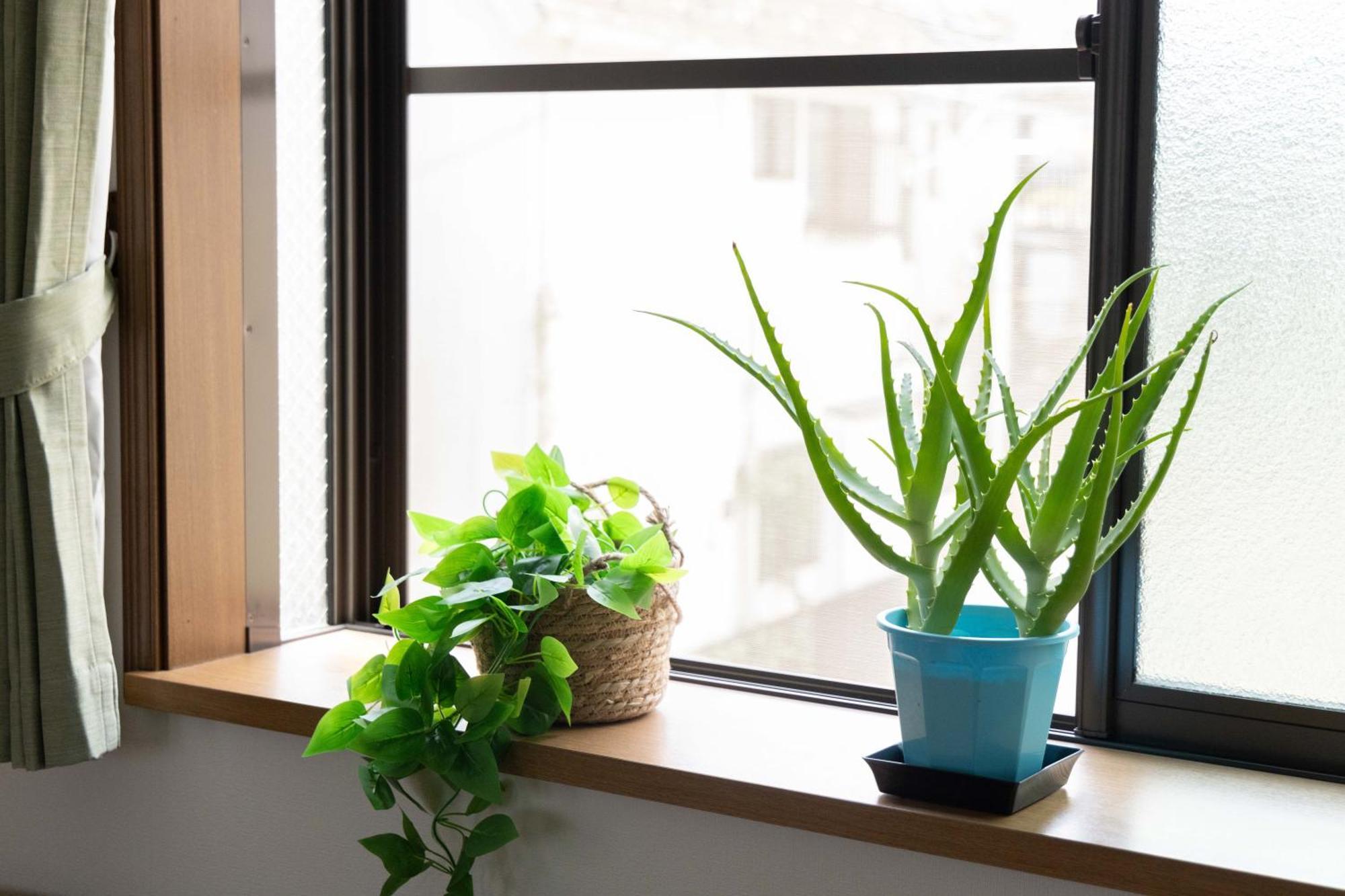 Buran House 新大久保駅から徒歩3分 Apartment Tokyo