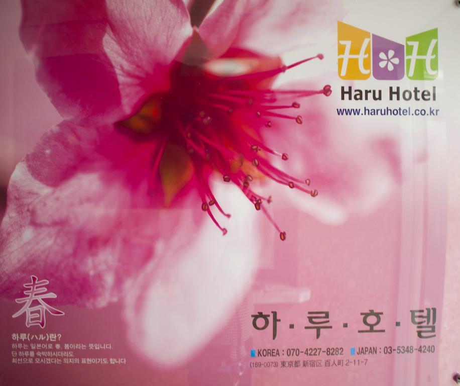 Haru Tokyo