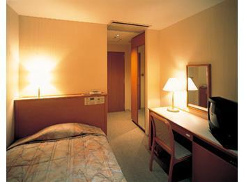 Central Hotel Tokyo Hotel 3*