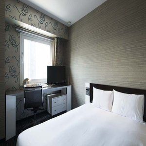 Hotel Fontaine Tokyo-kudanshita 3*
