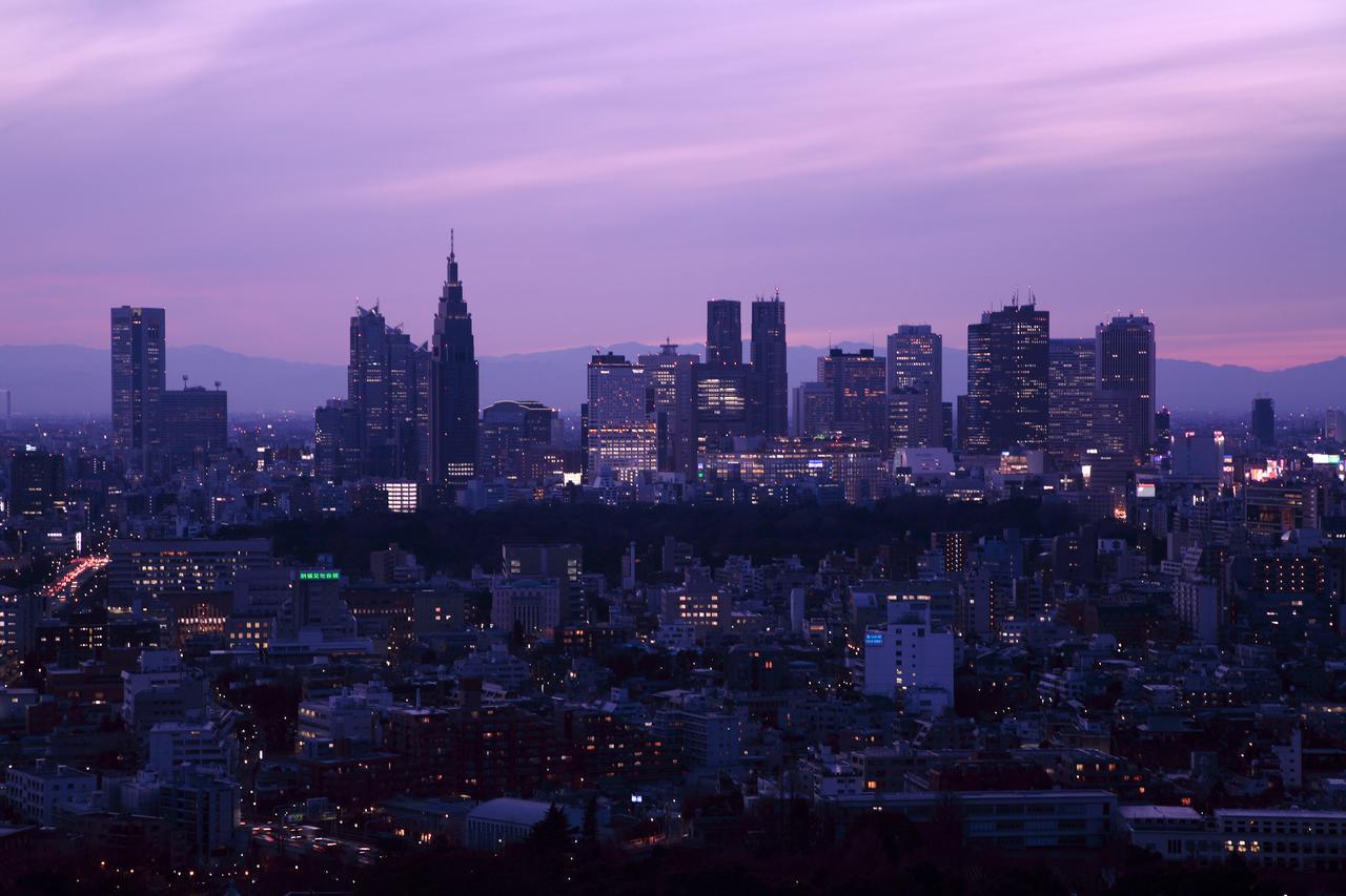New Otani Garden Tower Hotel 5*
