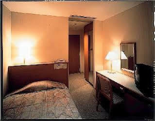 Central Hotel Tokyo 3*