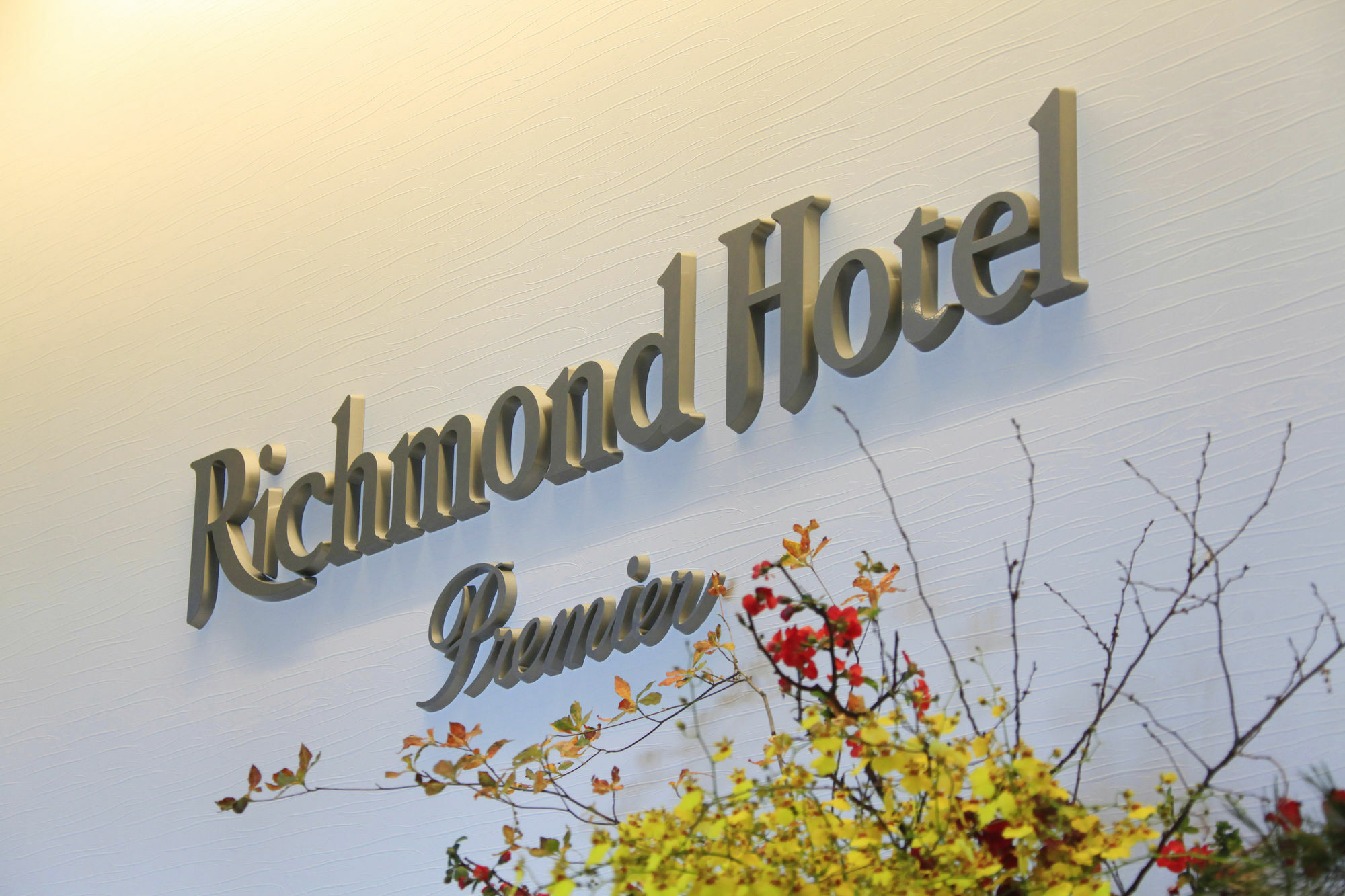 Hotel Richmond Premier Schole 4*
