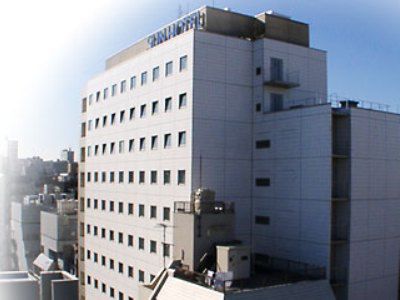 Unizo Shimbashi Hotel 3*
