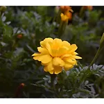 Tokyo Buc - Vacation Stay 36701V