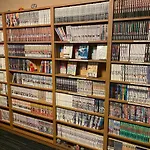 Dormy Inn Akihabara
