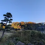La Casa Azul Tokyo