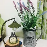 Elsie Totoro Apartment In Tokyo 001