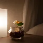 Yoosuu-浅草