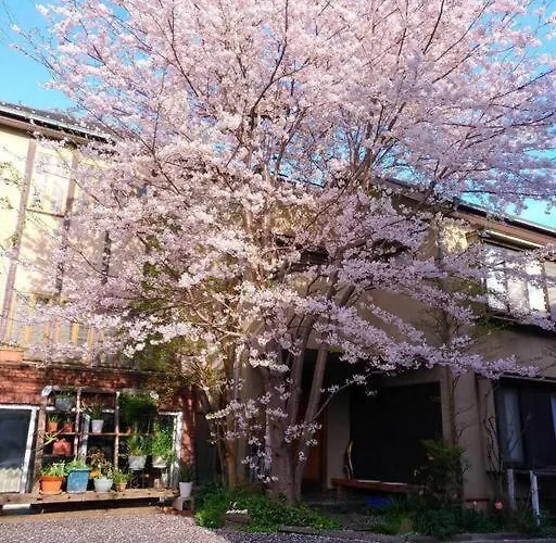Diplomat House Very Close To Jr Station