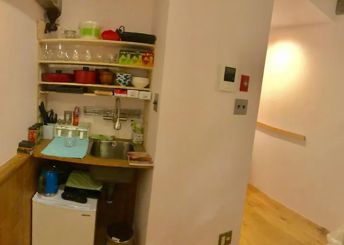 Steamed Before Checkin Cosy Shinjuku Kabukicho Property Pets Ok 伊勢丹デパート大久保近隣 東新宿新三丁目駅徒歩三分ペット可