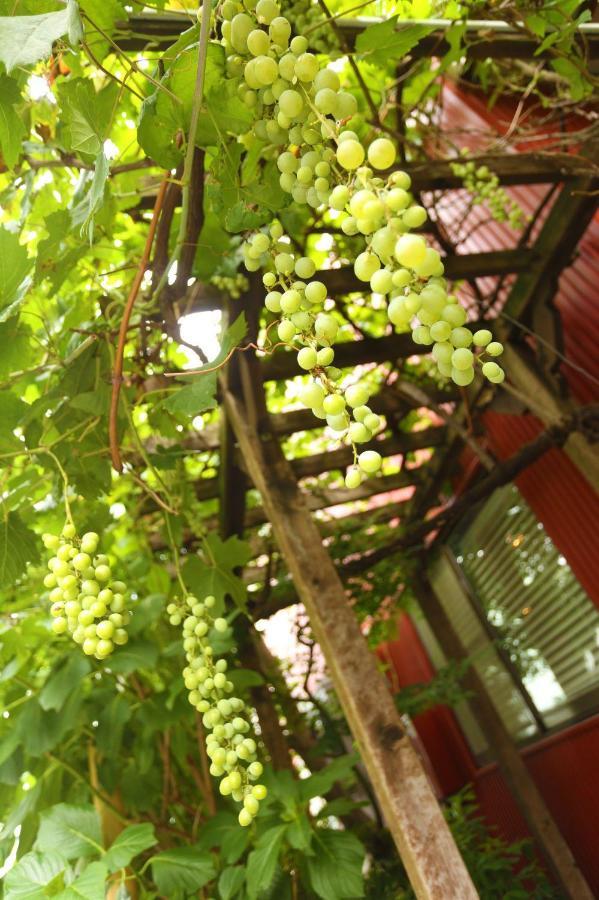 Grapehouse Koenji * Tokyo