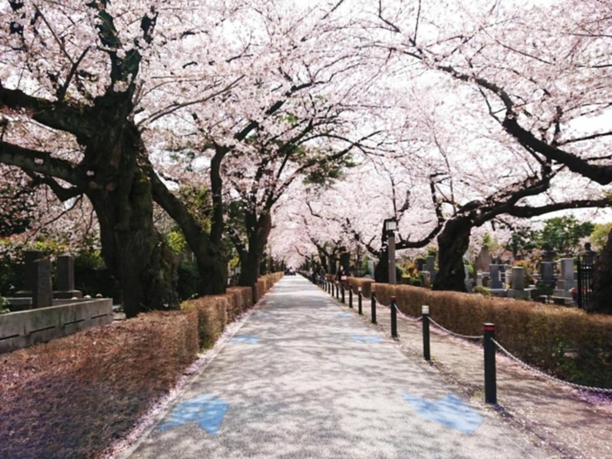 Henn Na Akasaka 3* Tokyo