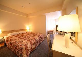 Shinjuku Washington Main 3*