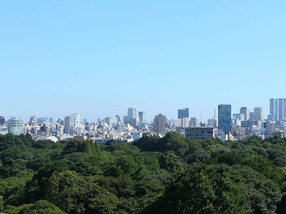 Apa Shinjuku Gyoemmae 3* Tokyo