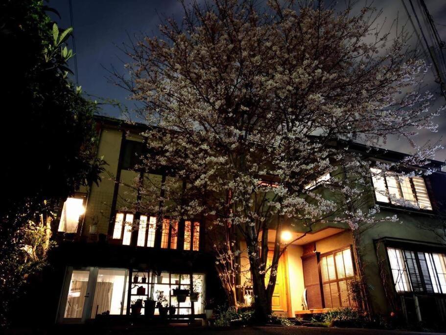 Diplomat House Very Close To Jr Station Chalet *