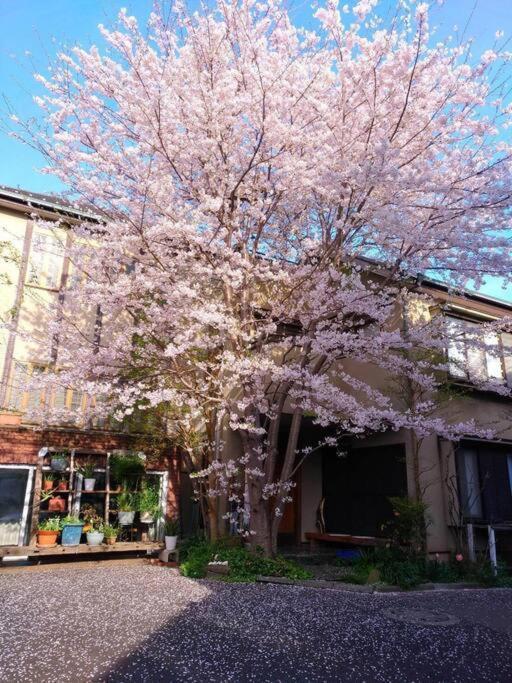 Chalet Diplomat House Very Close To Jr Station Tokyo