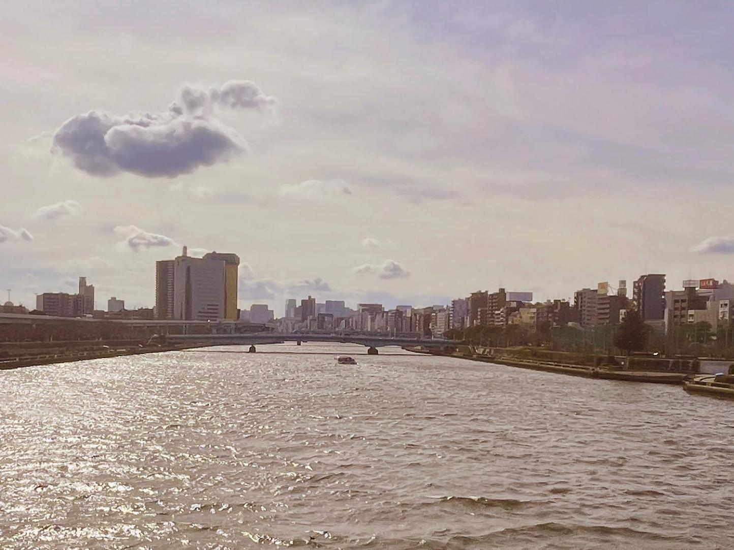 Sumida Nagaya Guest house Tokyo