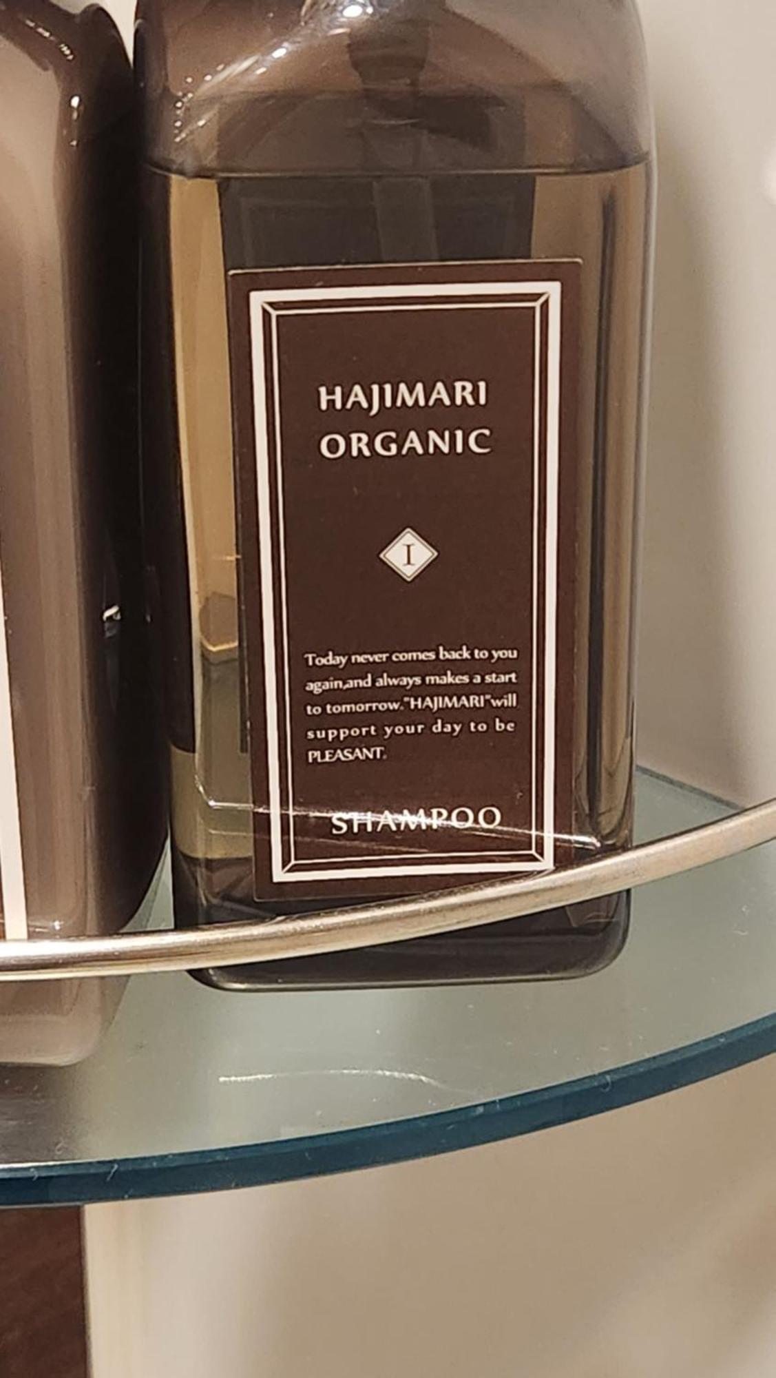 Henn Na Ginza 3*