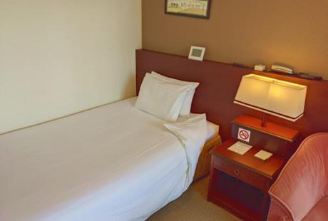 Hotel Zem