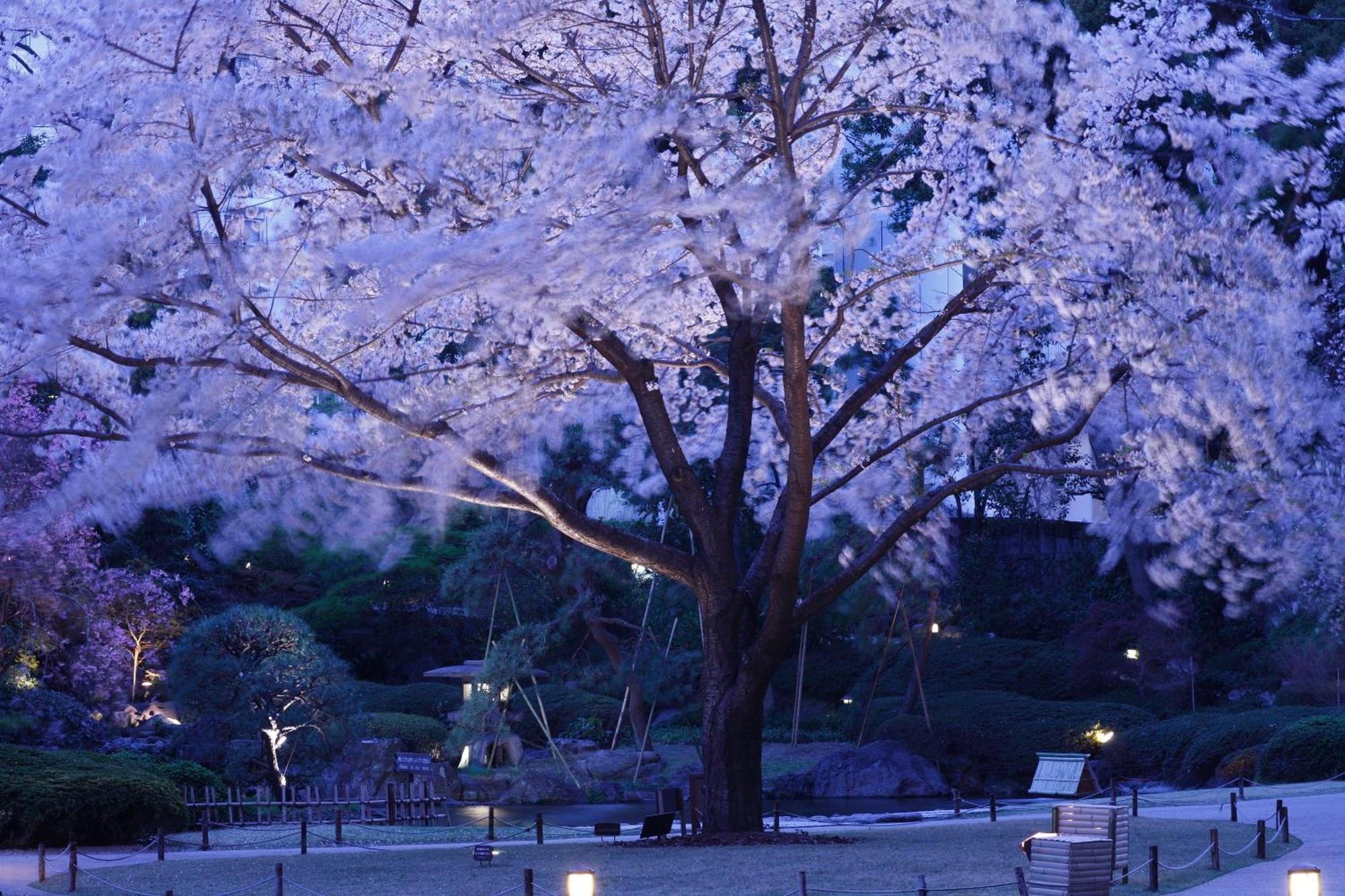 Grand Shin Takanawa Tokyo