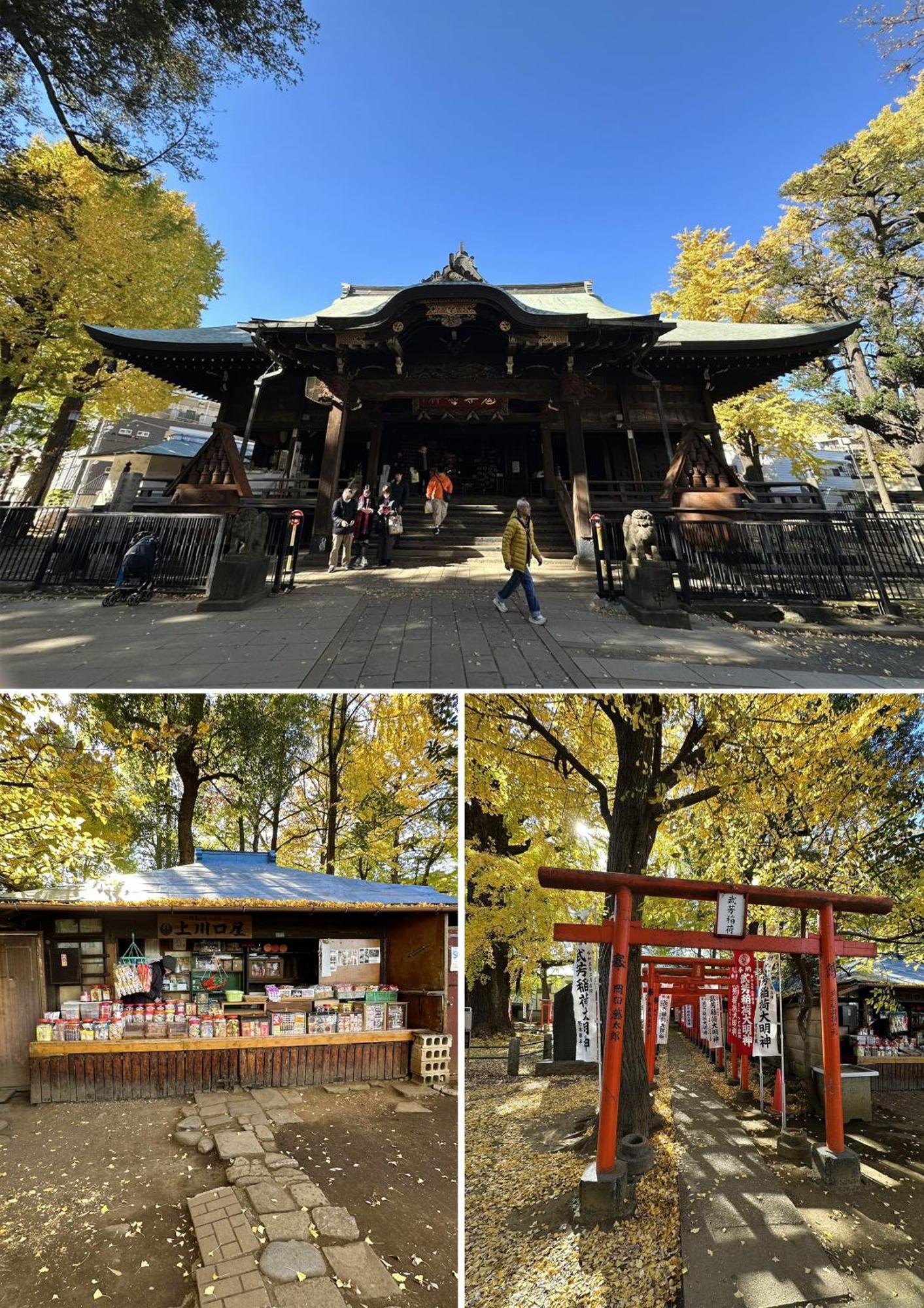 雅ⅰ Tokyo