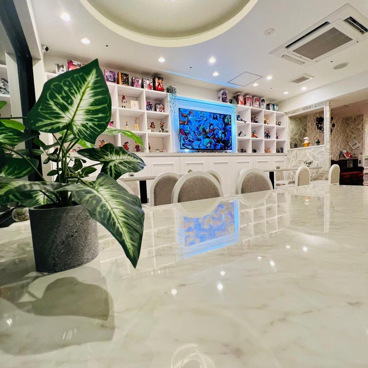 Hotaku Akihabara 3* Tokyo