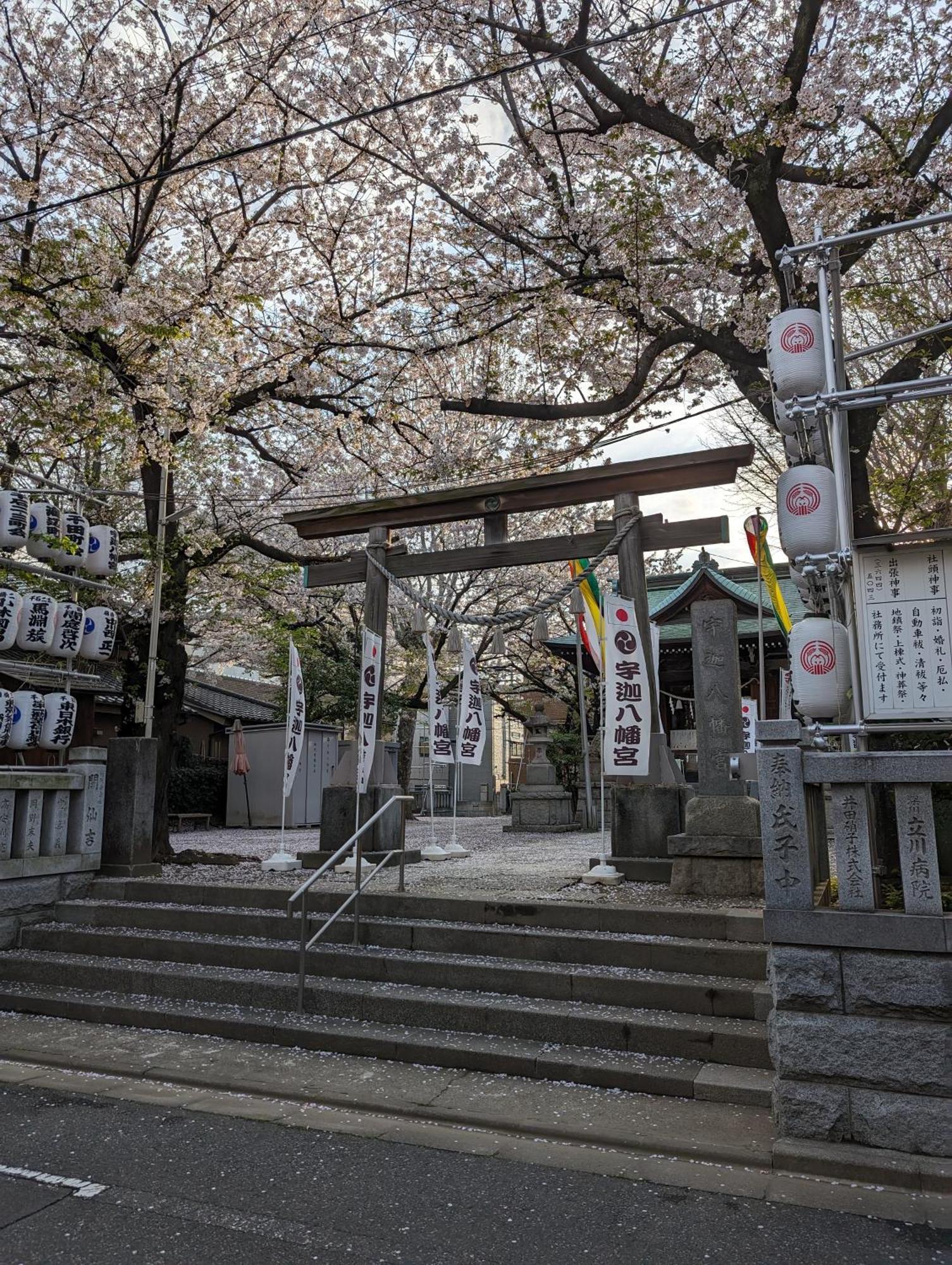 Apartment Umibe
