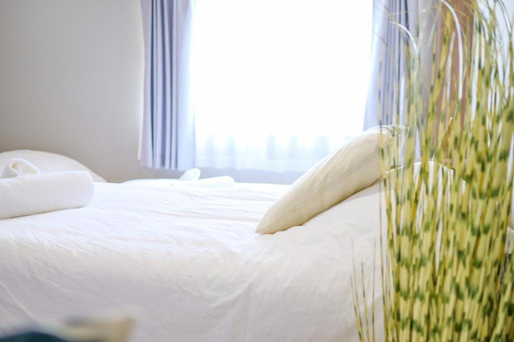 Apartment Maru 5