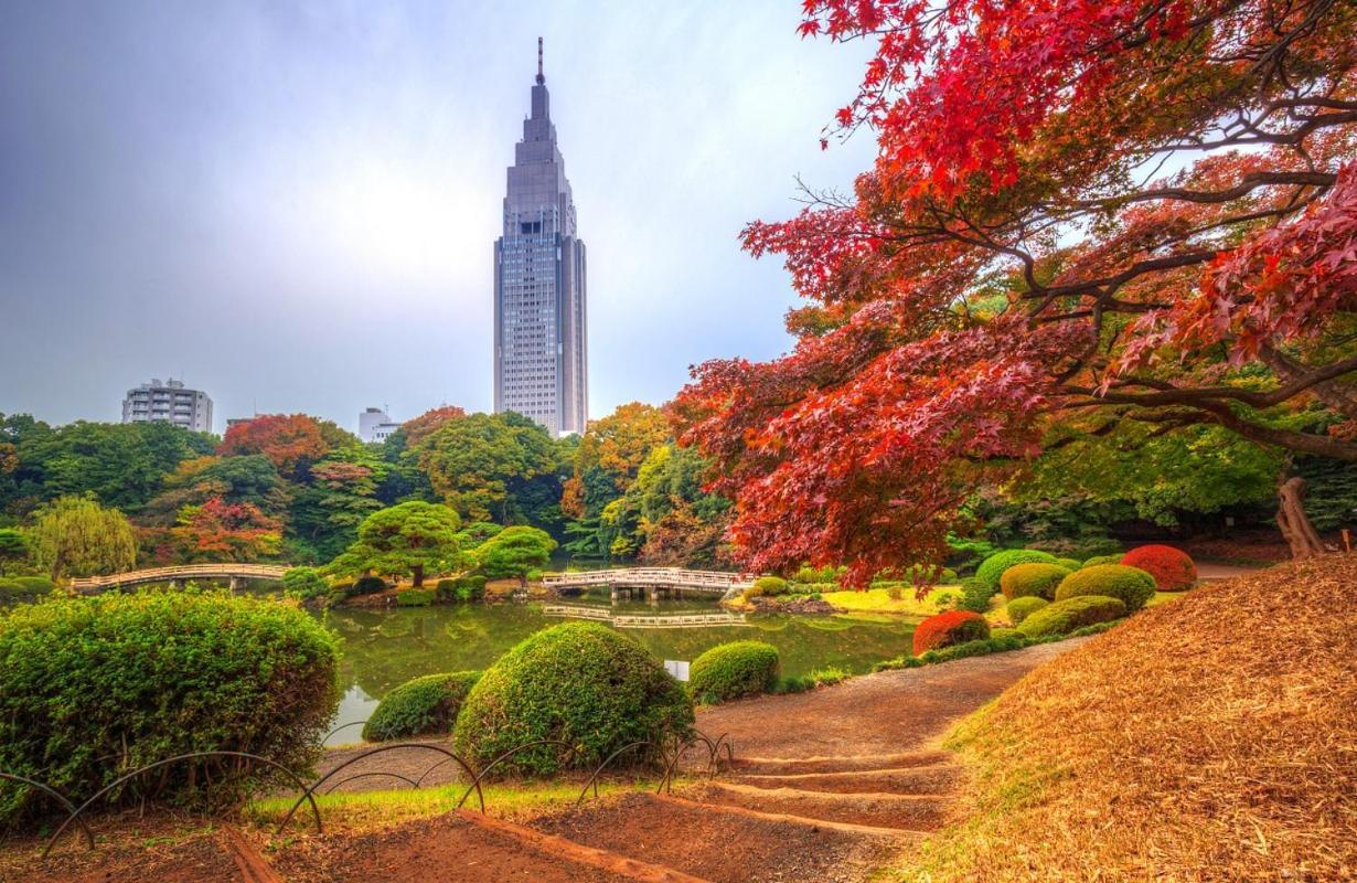 Shinjuku Gyoen Park Hanabi House * Tokyo