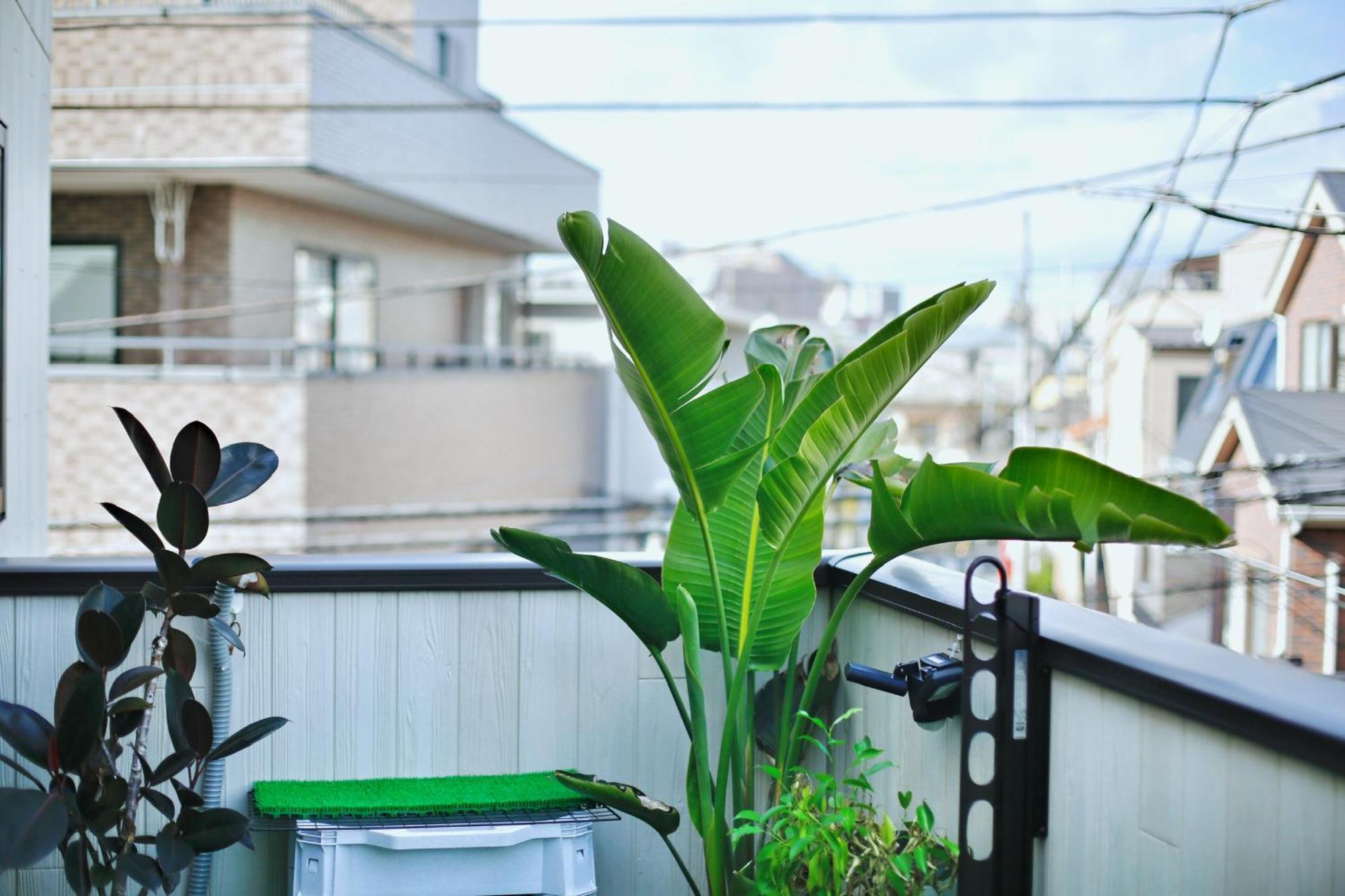Homestay アキラ商事