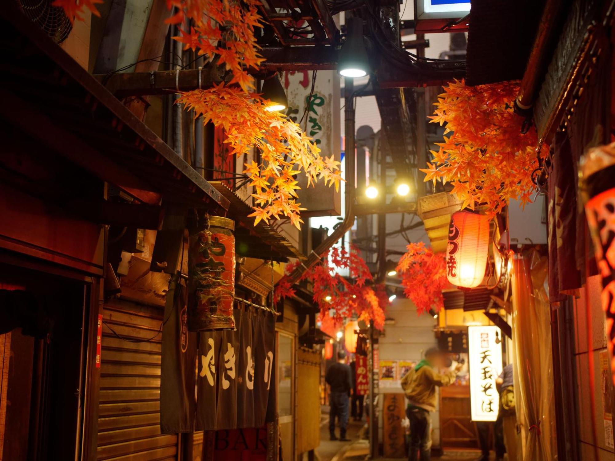 Apa Higashi Shinjuku Kabukicho Hotel 3*