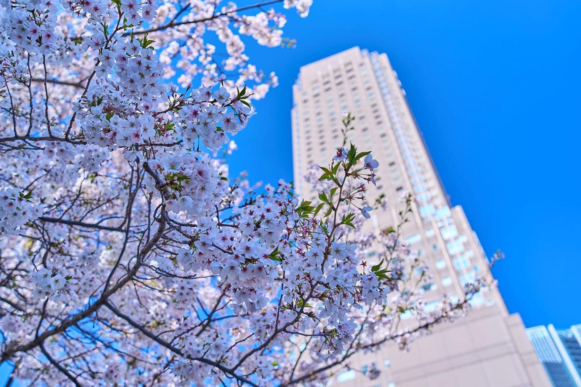 Cerulean Tower Tokyu Hotel, A Pan Pacific Partner Hotel Tokyo