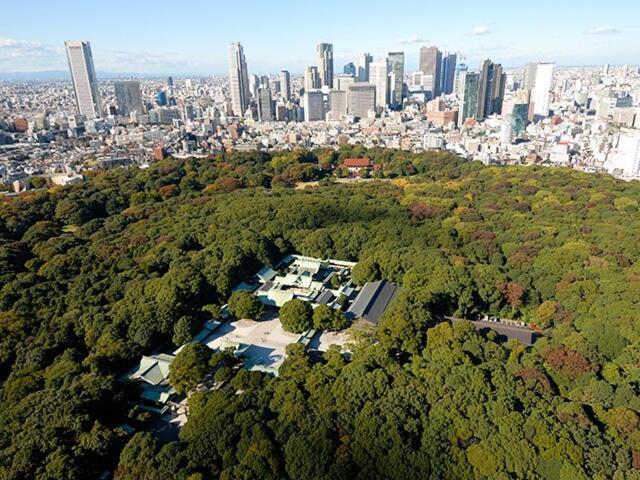 Shibuya 10min Walk Bright Modern 40sqm Tokyo