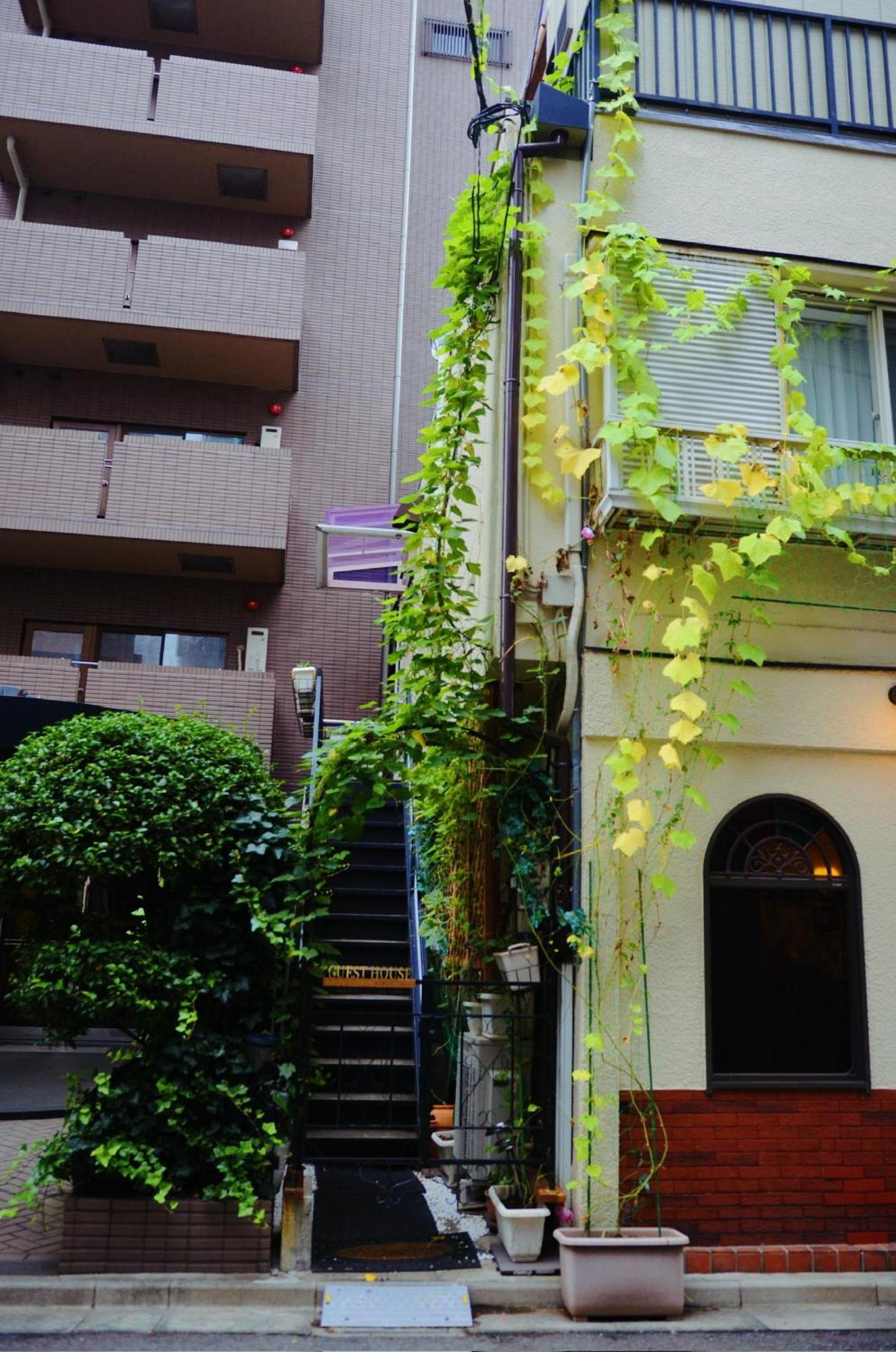 Ayaka's House Apartment *