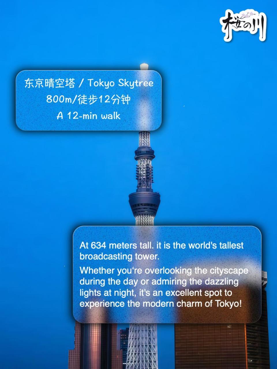 桜の川6 Asakusa 704 Skytree Bus 1 Min,free Wifi,cook,24 Convenience