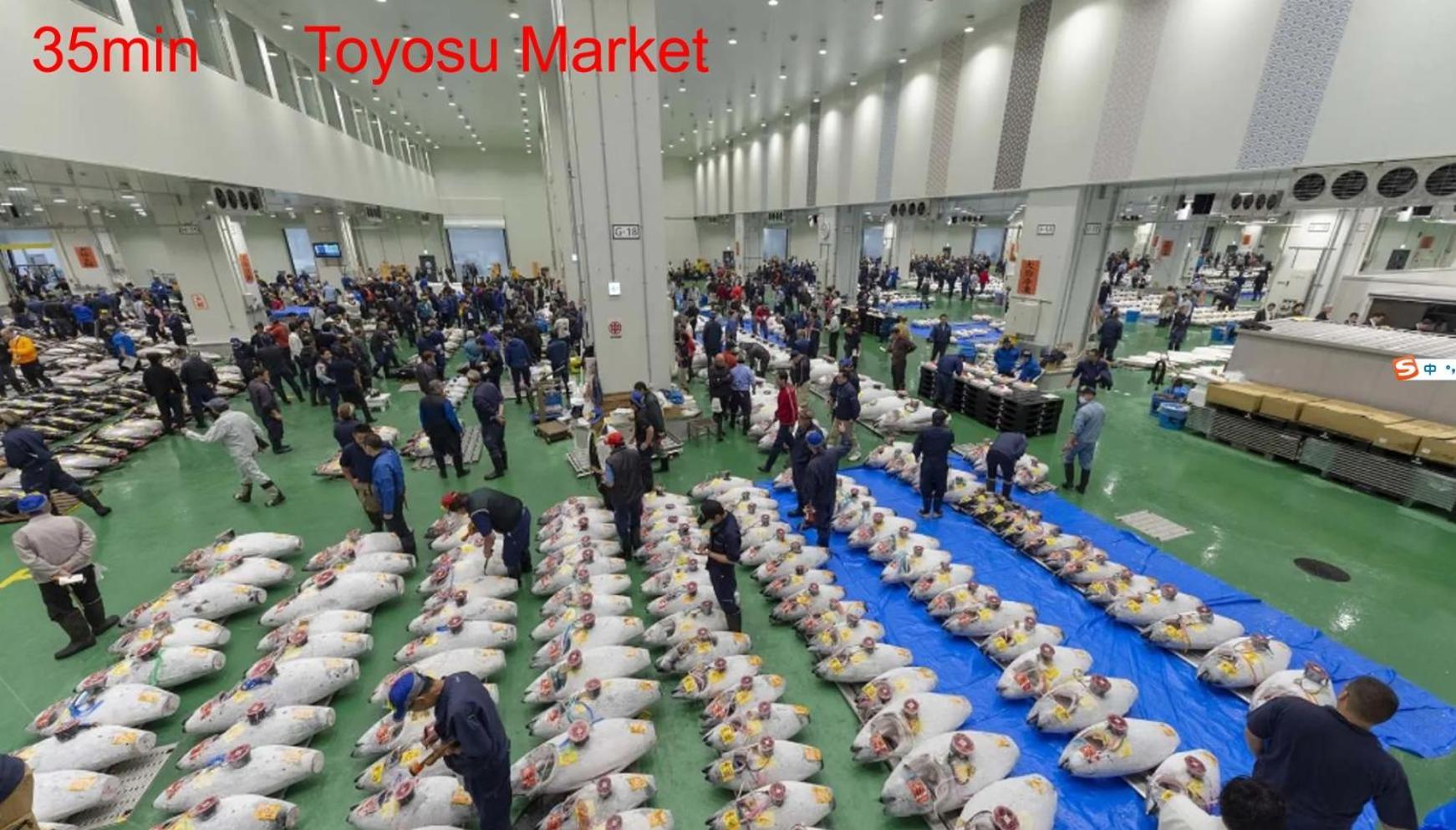 24年9月オープン 白山駅5分 収容5人 丸貸し切り 102室 Tokyo