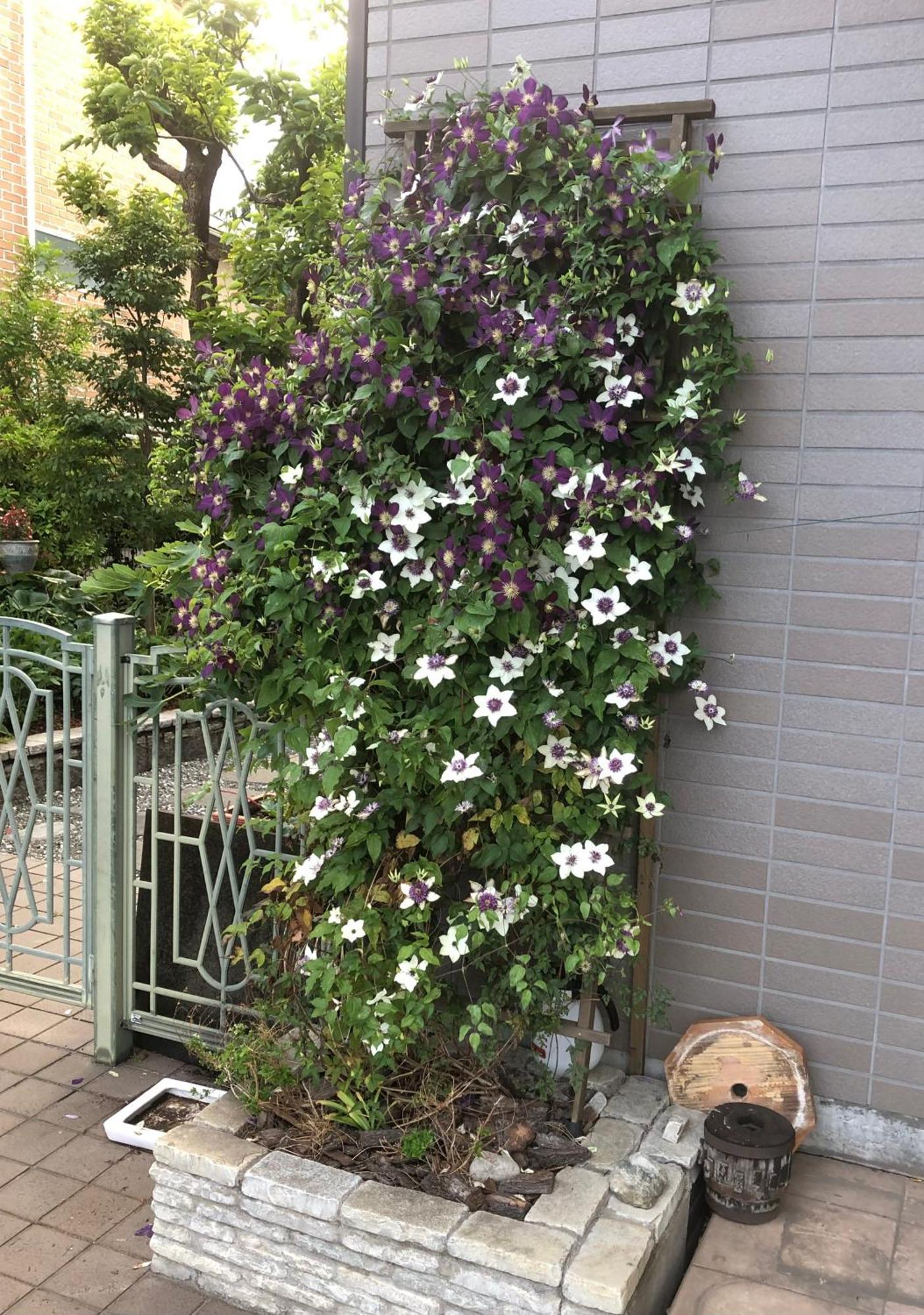 Apartment S & K Garden House