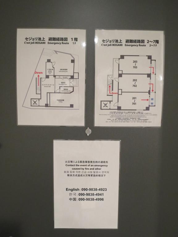 C'est Joli Ikegami Tokyo