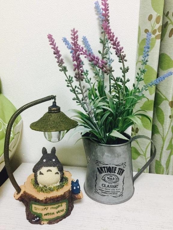 Elsie Totoro Apartment In Tokyo 001 Apartment