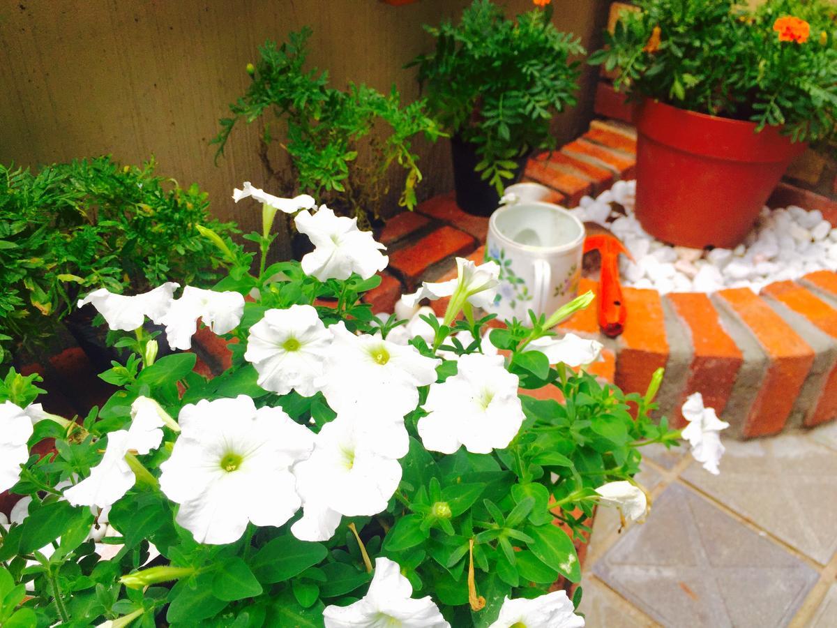 Guest house Sophiearth Iii *